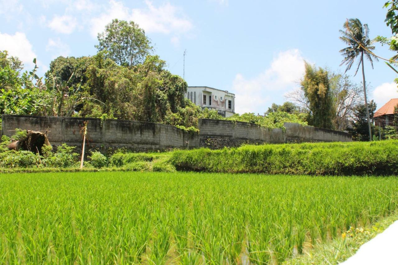 White Creative Villa Campuhan Ubud Eksteriør billede