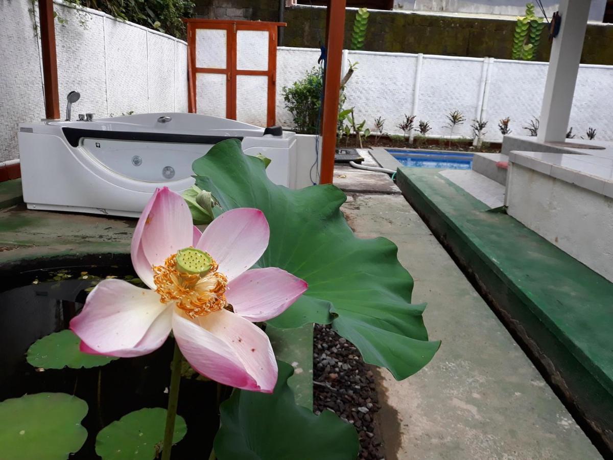 White Creative Villa Campuhan Ubud Eksteriør billede